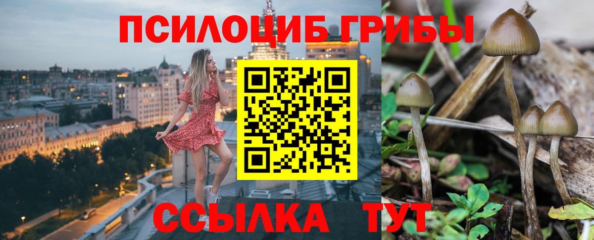 Туапсе  Псилоцибиновые грибы Magic Shrooms  Вход с VPN 