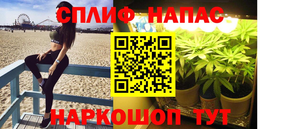 Каннабис сатива Туапсе